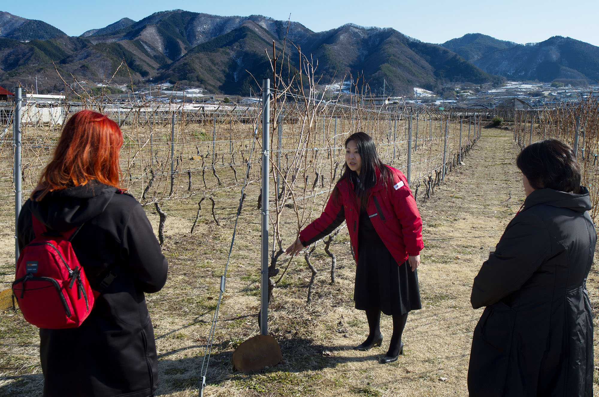 Tour at Mercian Wine in Katsunuma, Japan