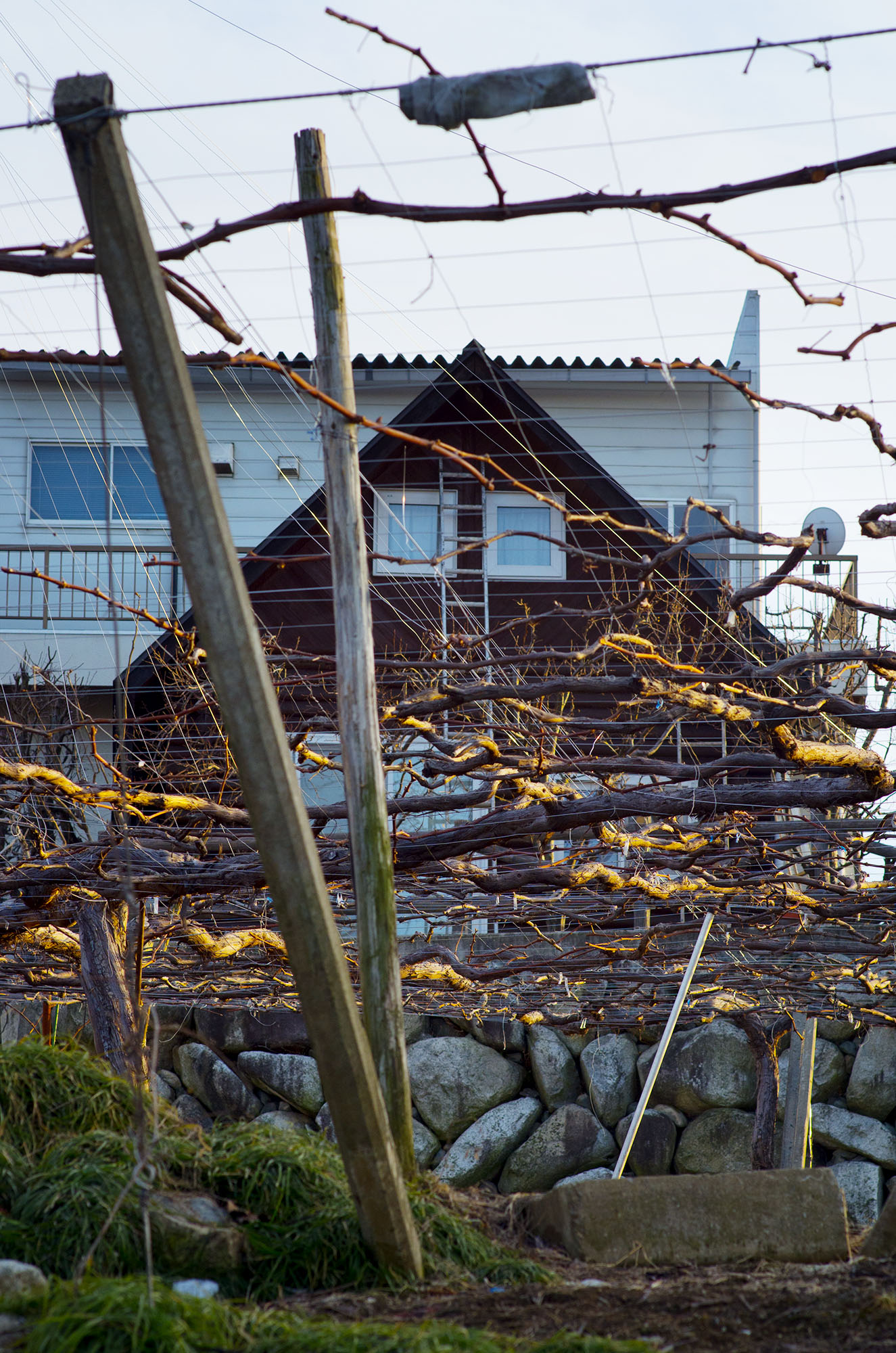 Katsunuma, Japan