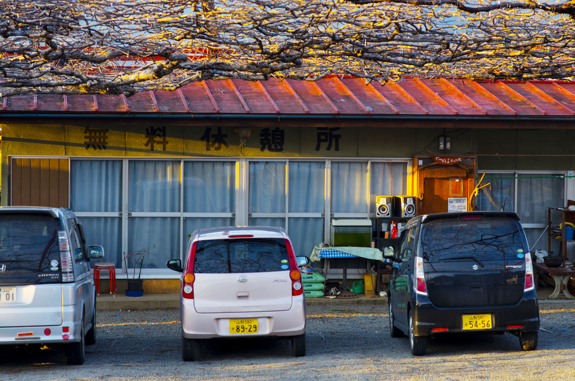Katsunuma, Japan